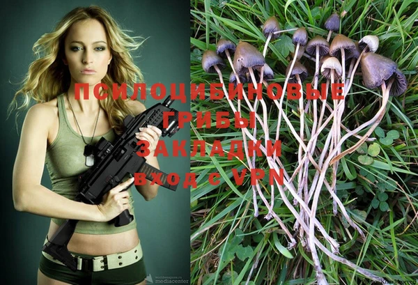 a pvp Медвежьегорск
