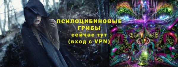 a pvp Медвежьегорск